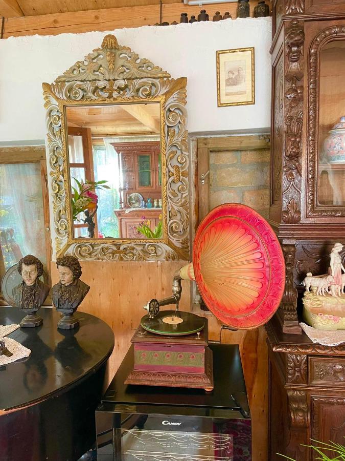 Villa Luca Mosonmagyaróvár Zewnętrze zdjęcie